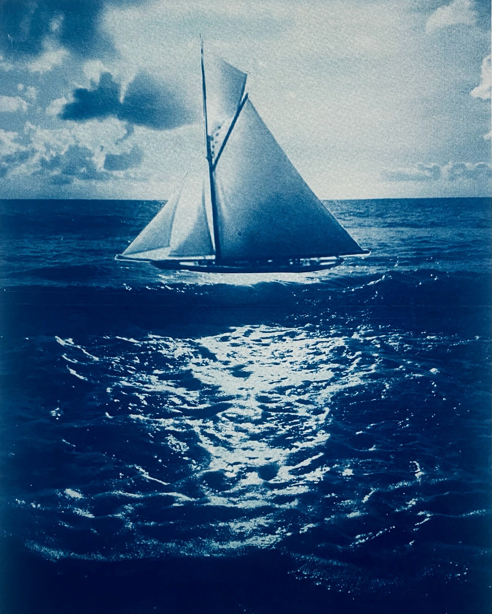 Cyanotypes