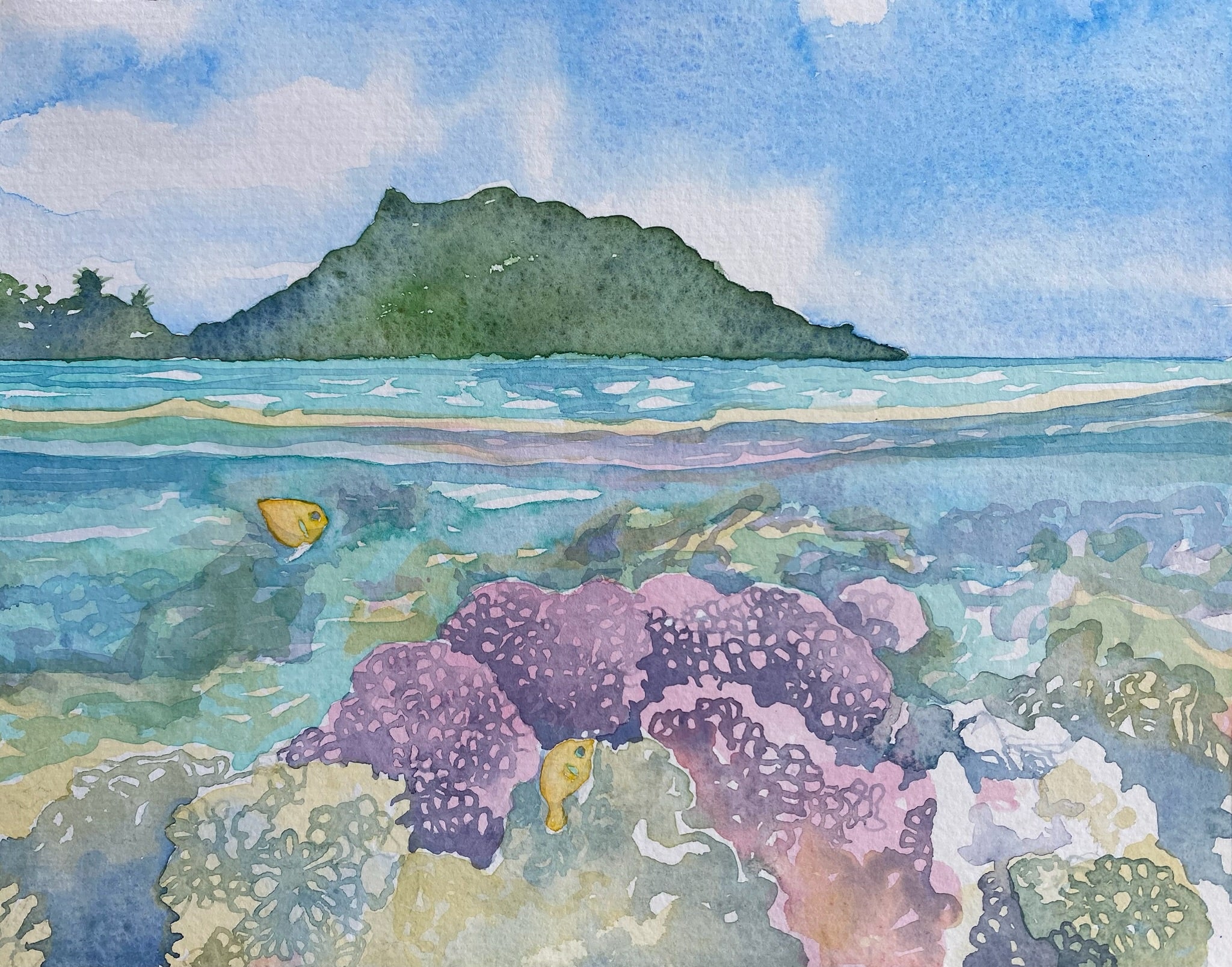 Watercolours